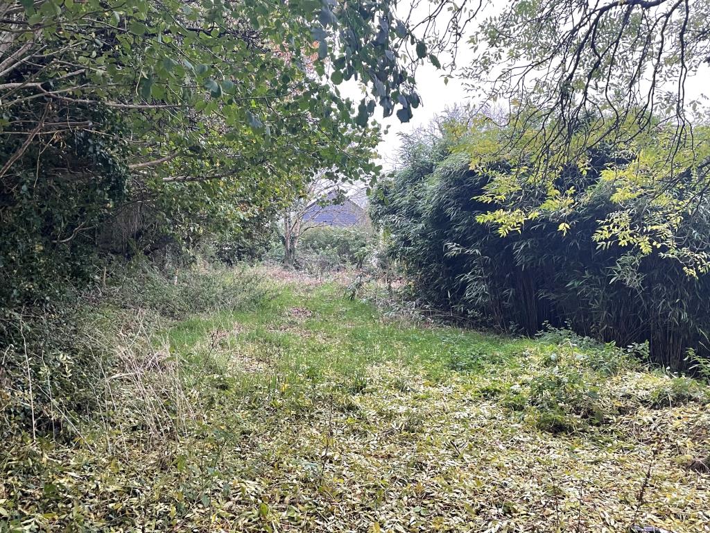 Lot: 38 - FREEHOLD LAND WITH PRE-APPLICATION ADVICE - View of Lot from different angle